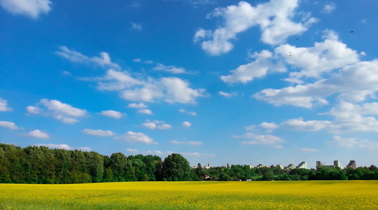 sky landscape spring free photo