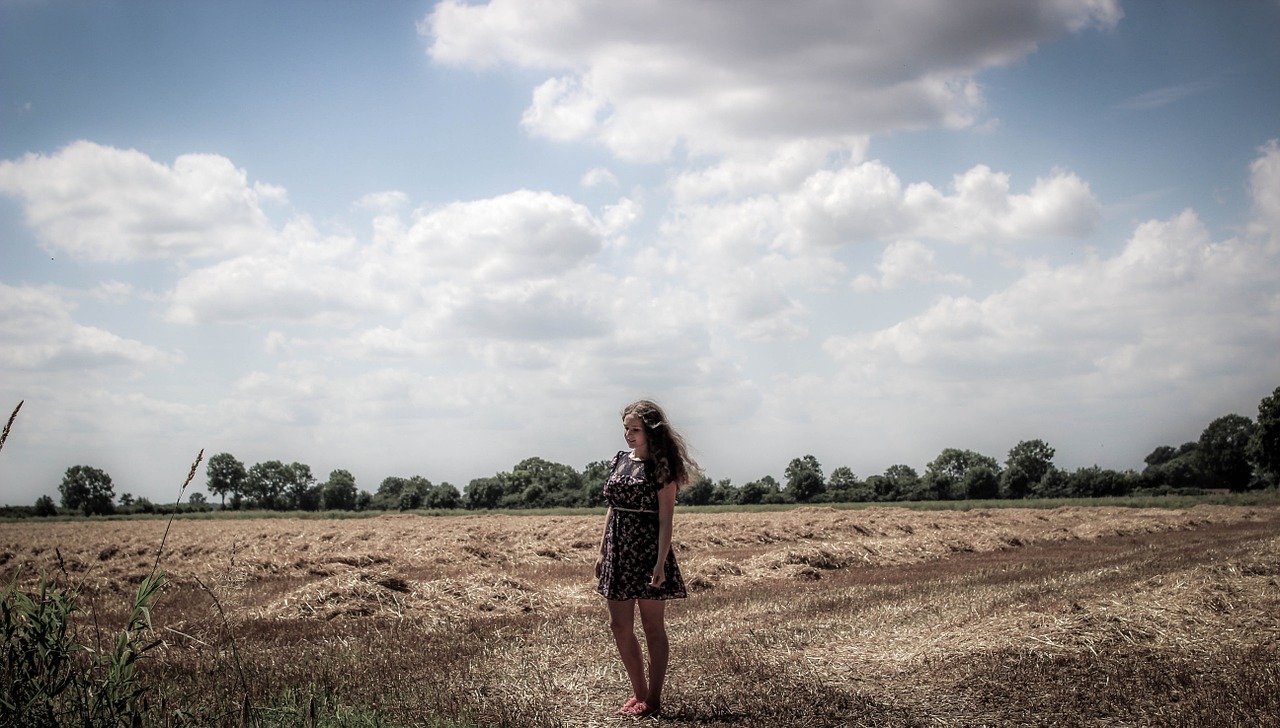 sky clouds field free photo