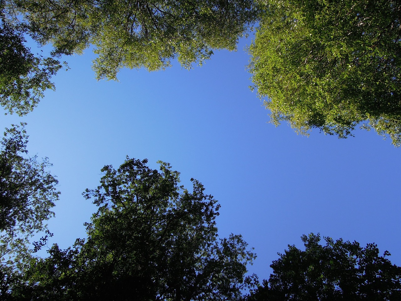 sky blue blue sky free photo