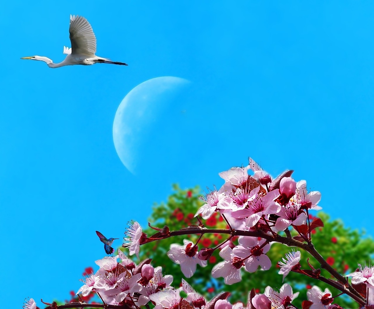 sky blue sky tree free photo