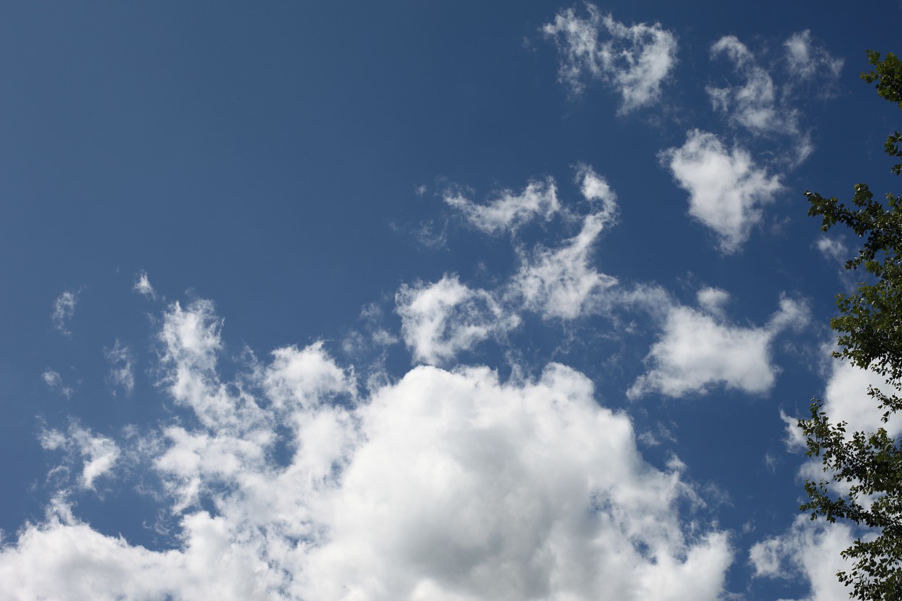 sky clouds tree branches free photo