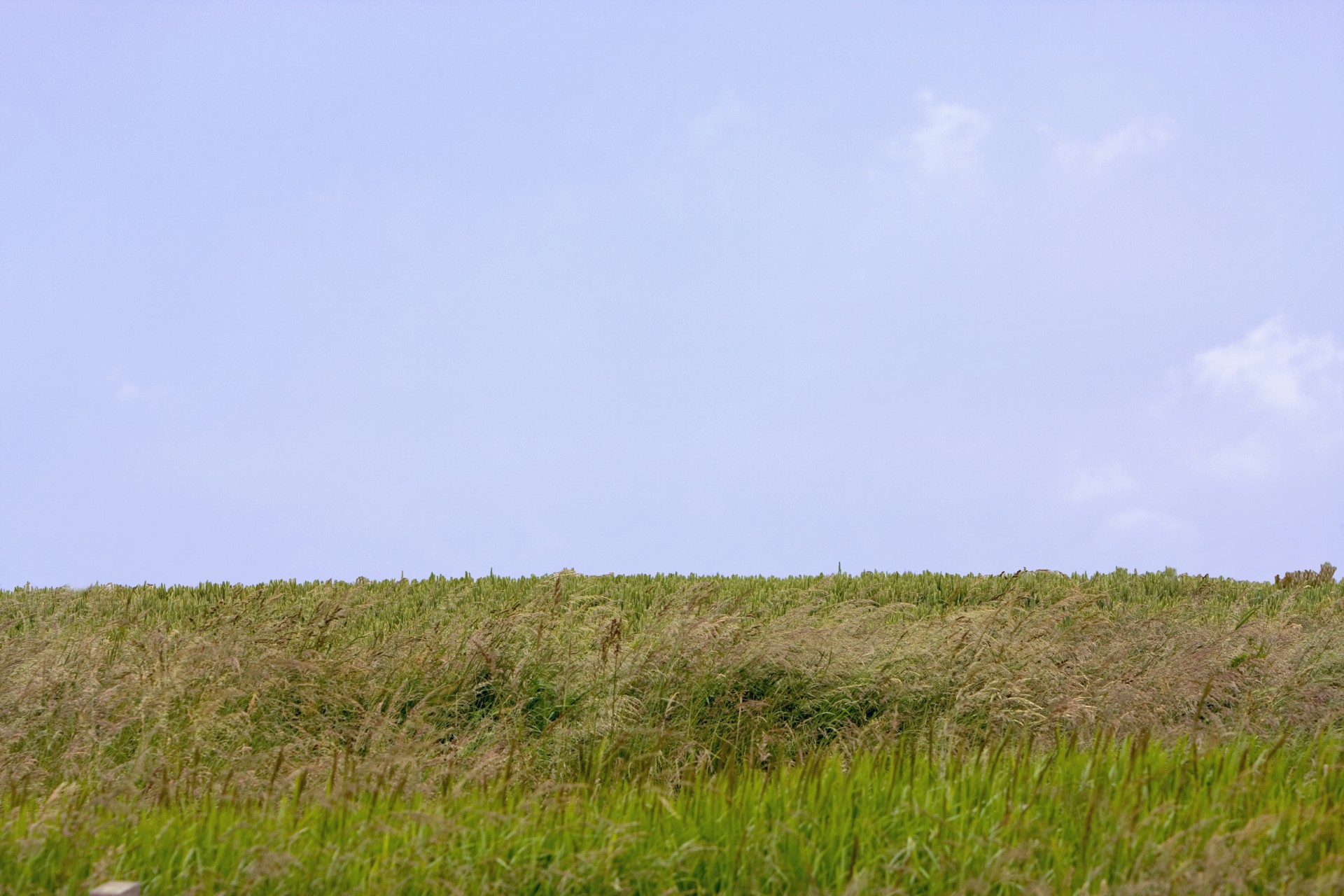 sky grass landscape free photo