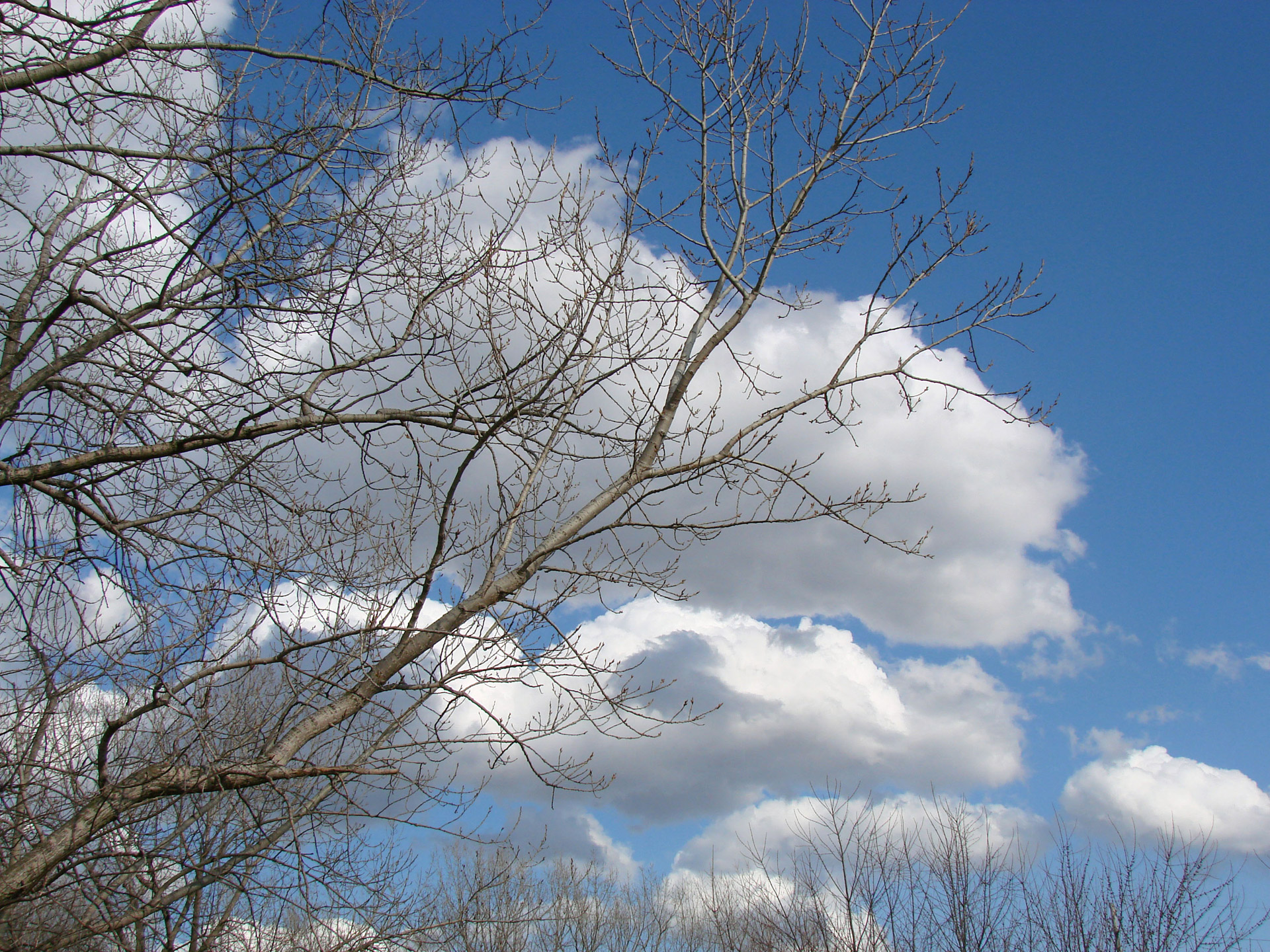 sky clouds blue free photo