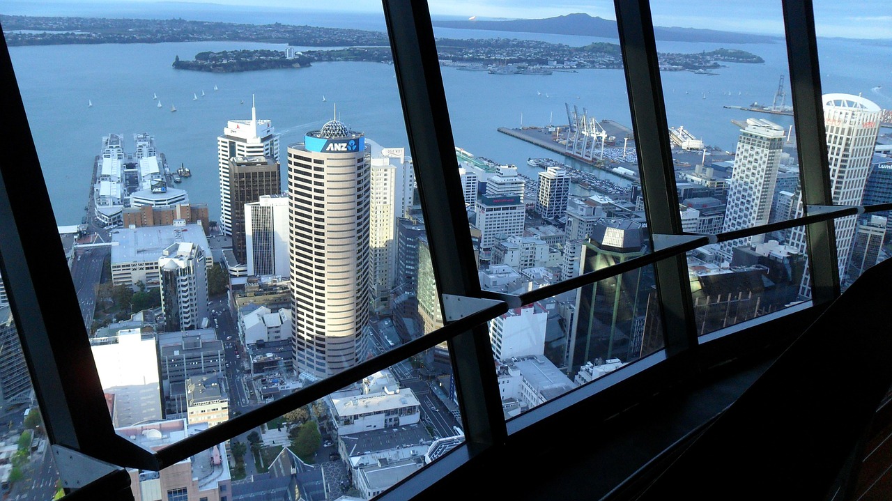sky city tower view harbour new zealand free photo