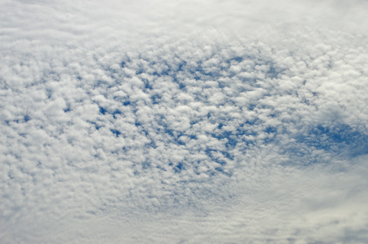 sky clouds borrego clouds sheep cotton clouds free photo