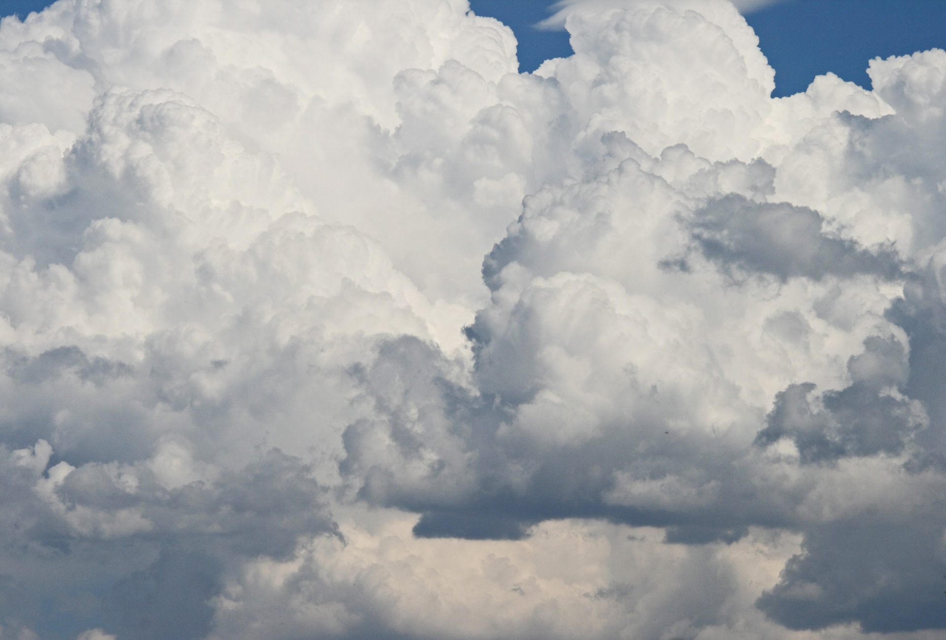 sky cloud cumulus free photo