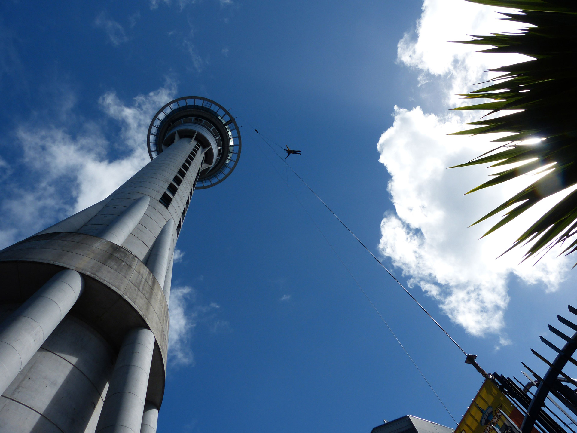 sky tower auckland new zealand free photo