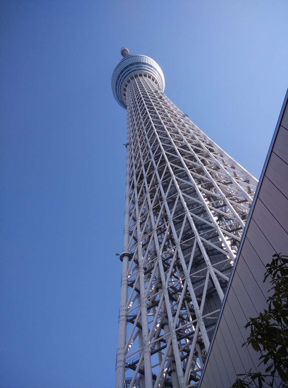 sky tree japan free pictures free photo