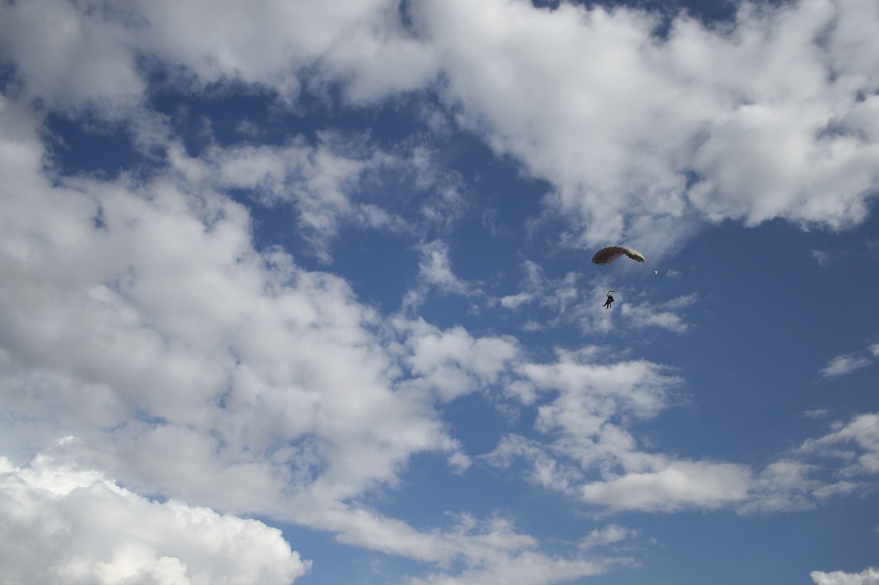 skydive skydiver sky free photo