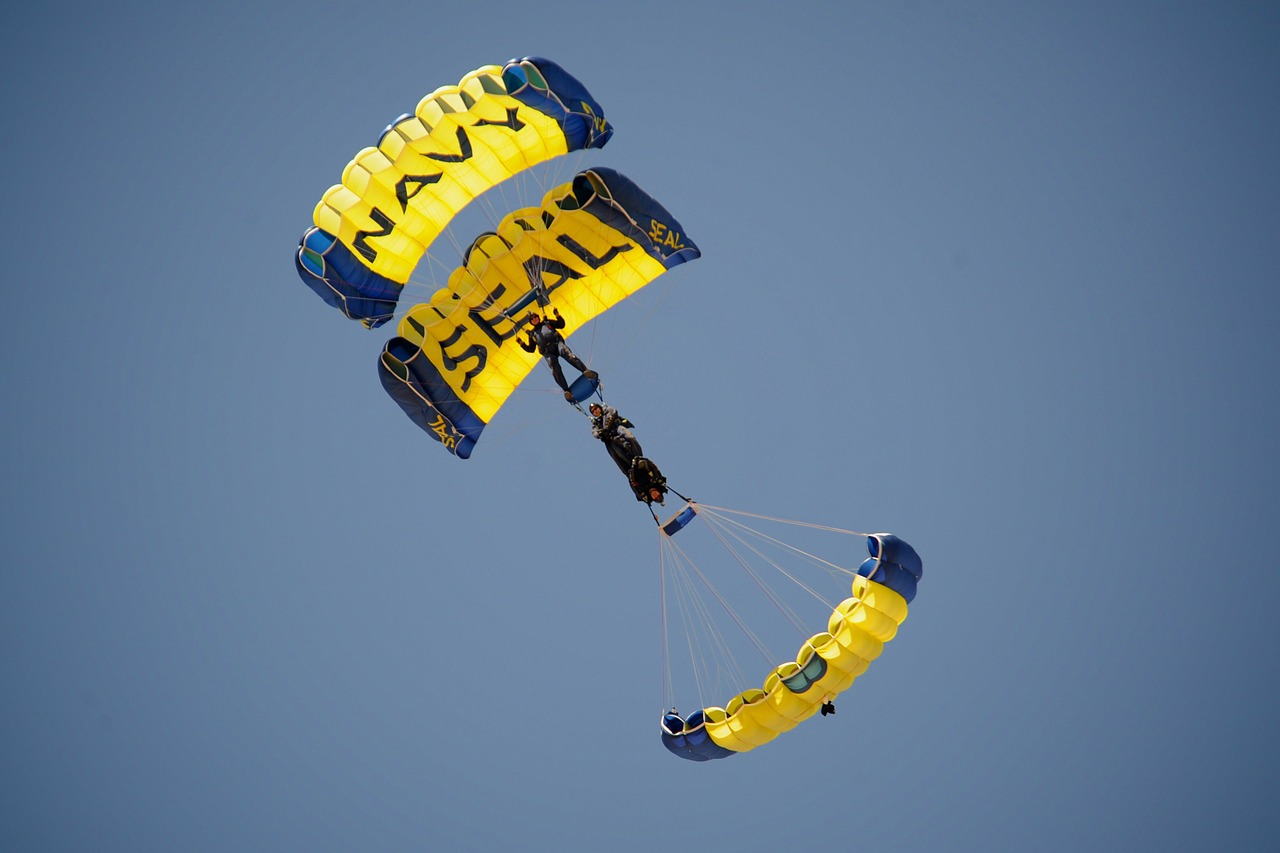 skydive skydiving parachuting free photo
