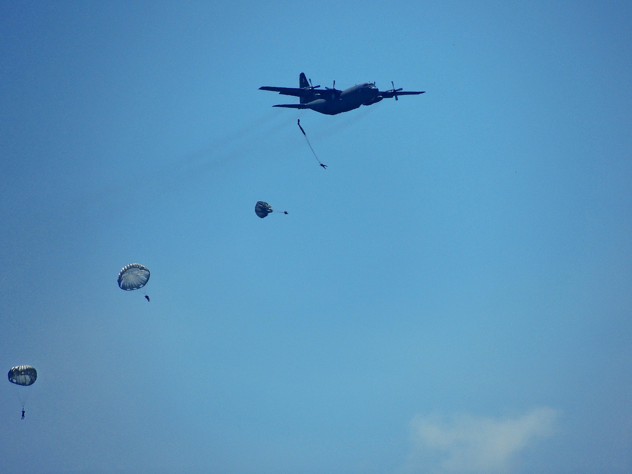 skydiving parachute plane free photo