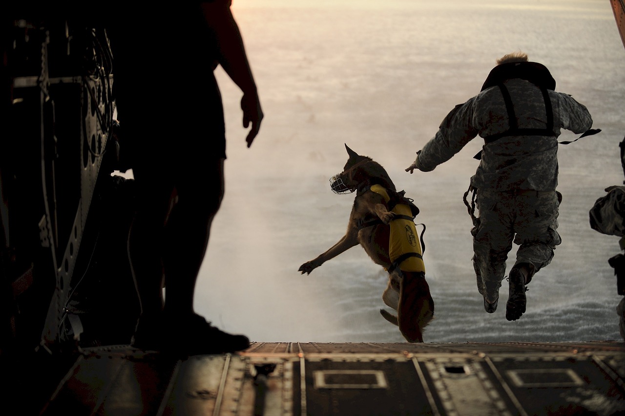 skydiving jump dog free photo