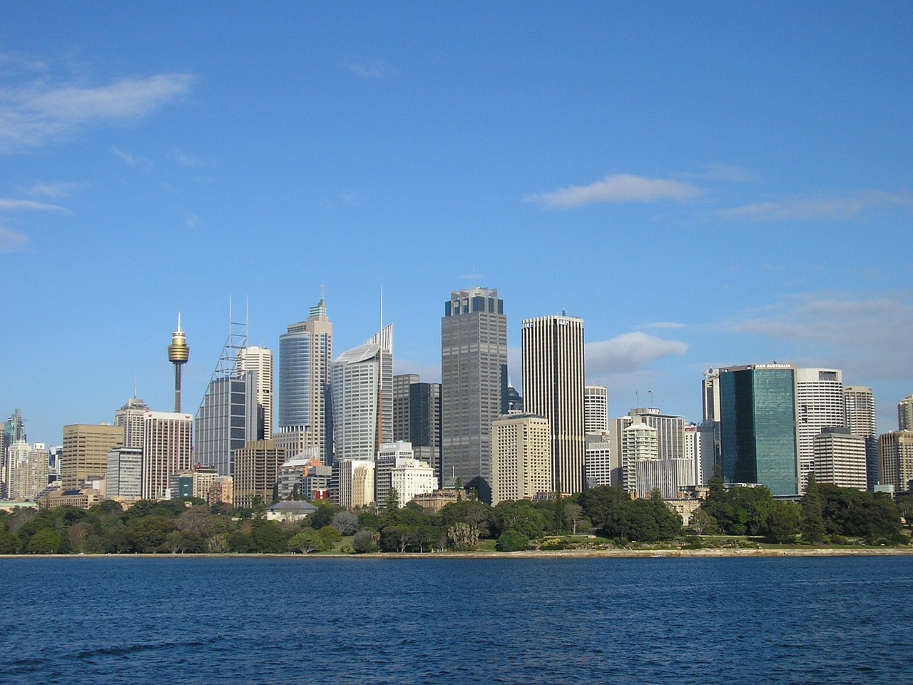 skyline city sydney free photo