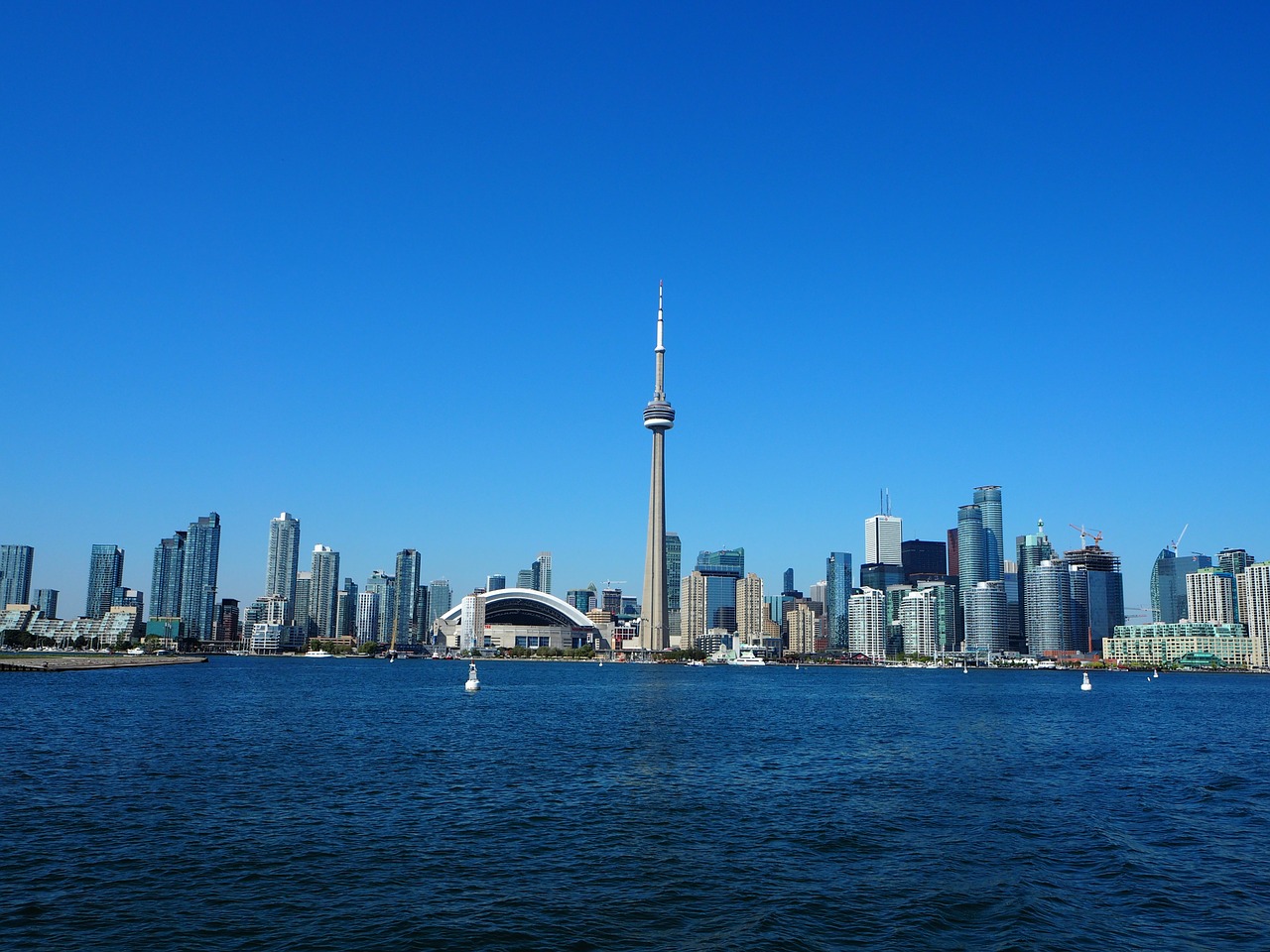 skyline toronto canada free photo