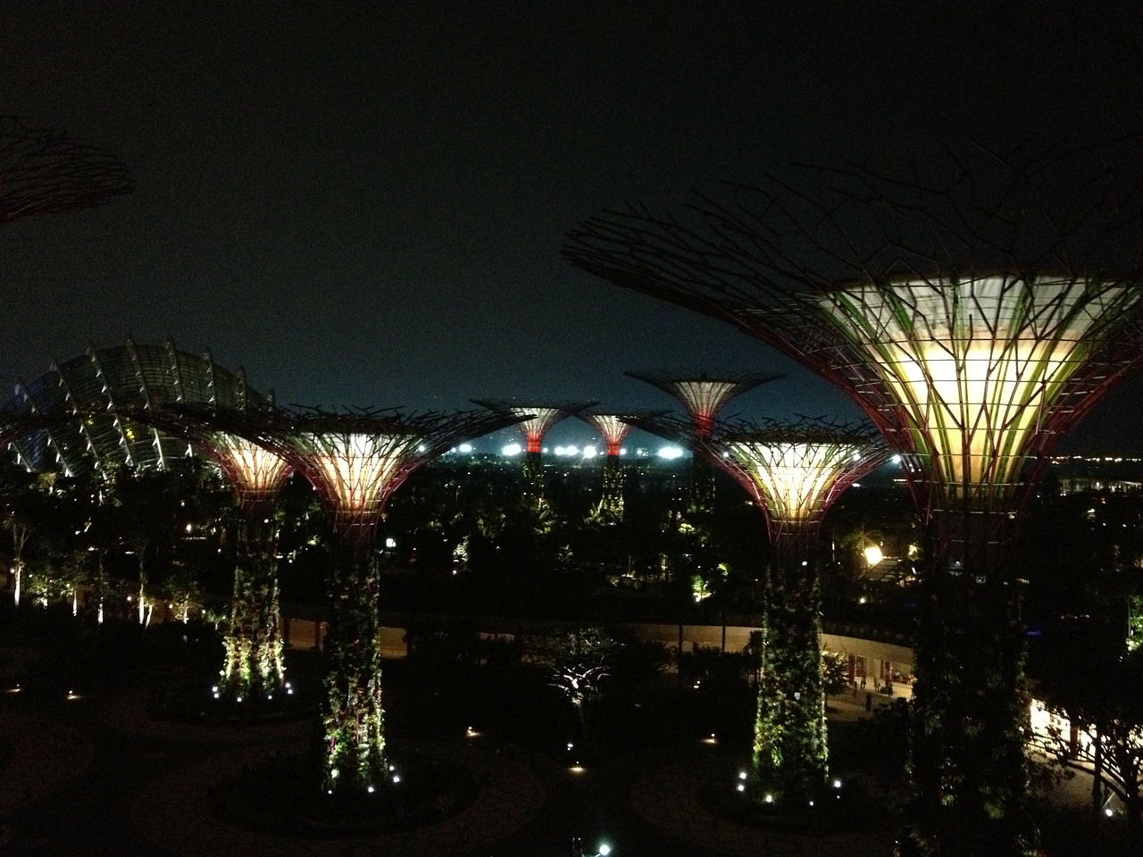 skyline singapore night free photo