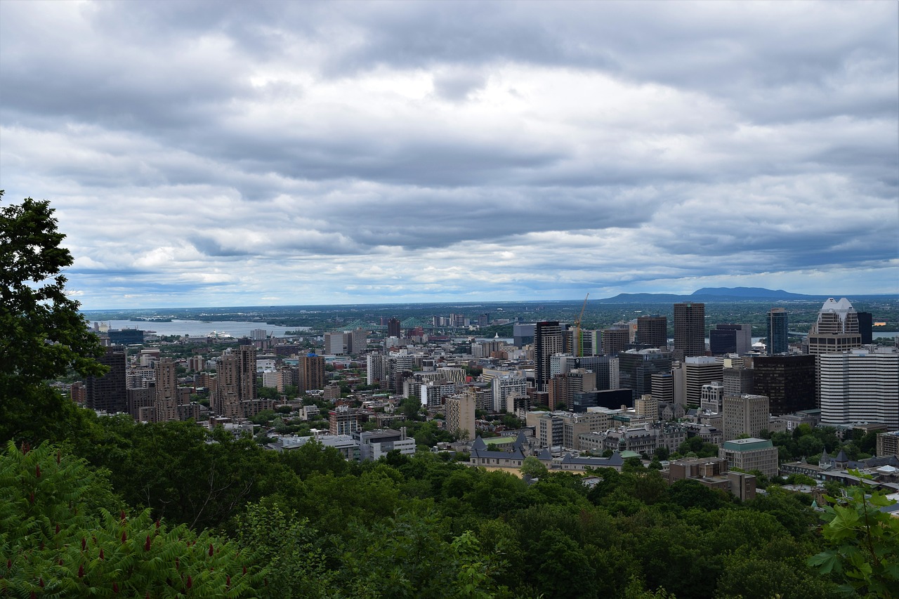 skyline downtown cityscape free photo