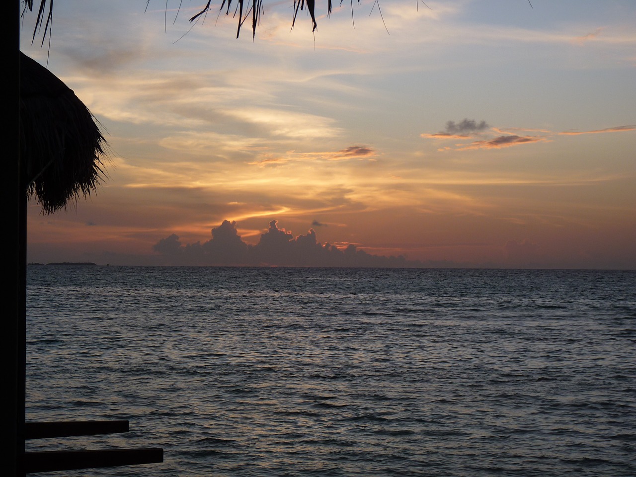 skyline ocean dusk free photo