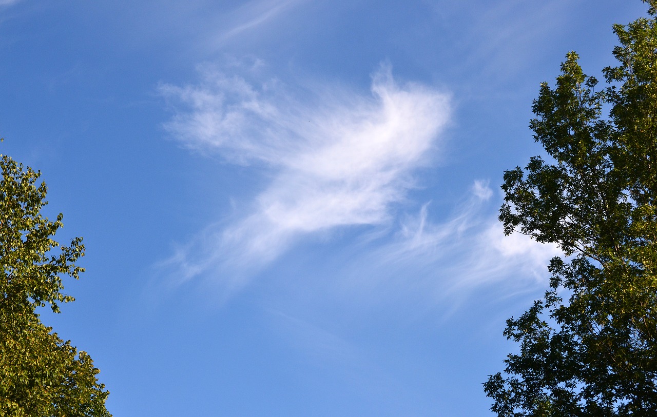 skyscaping cloud pattern free photo