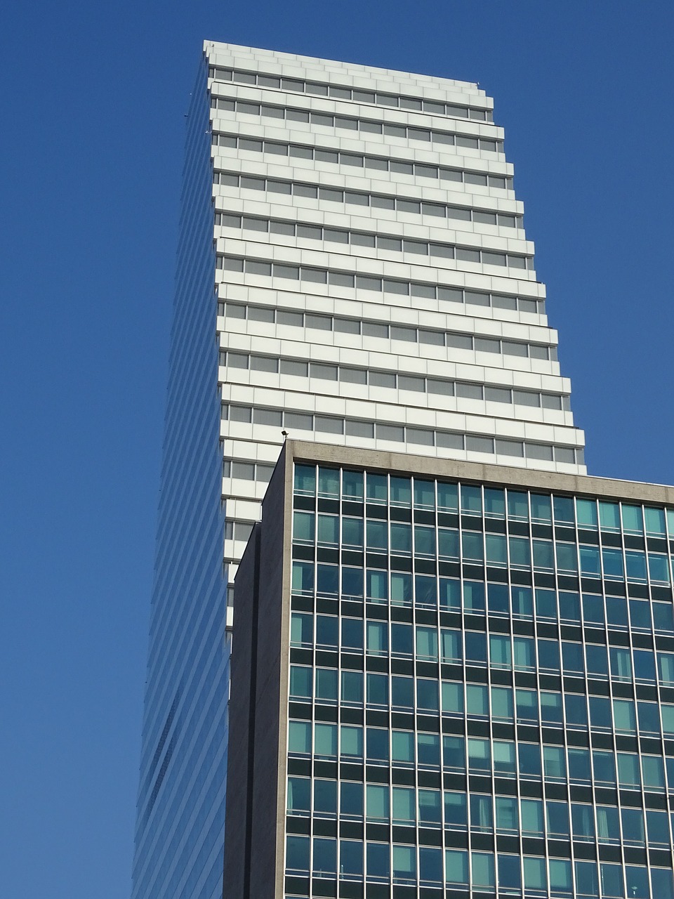 skyscraper  basel  roche-tower free photo