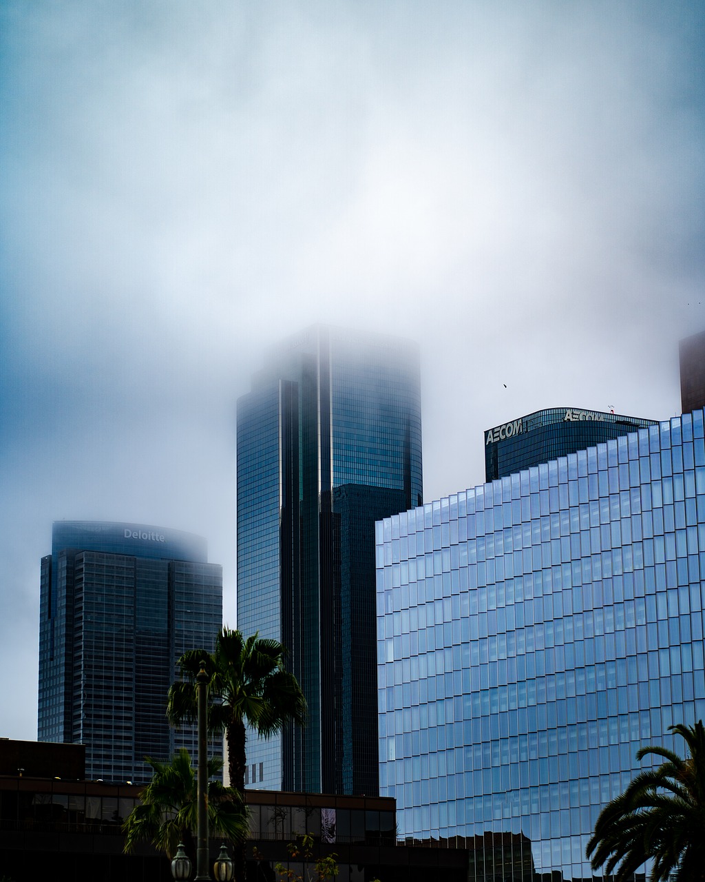 skyscraper  rainy  cloudy free photo