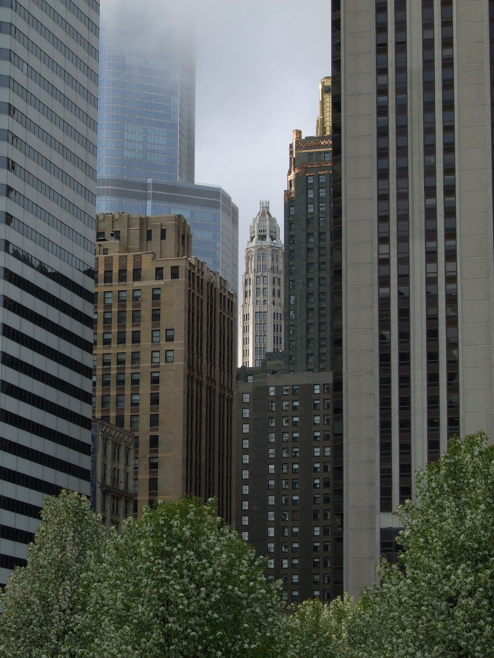 skyscrapers chicago architecture free photo