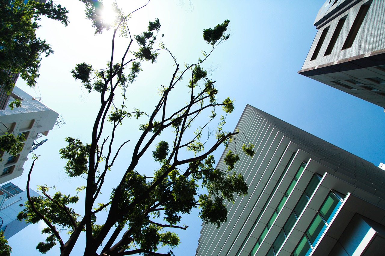 skyscrapers building shibuya free photo