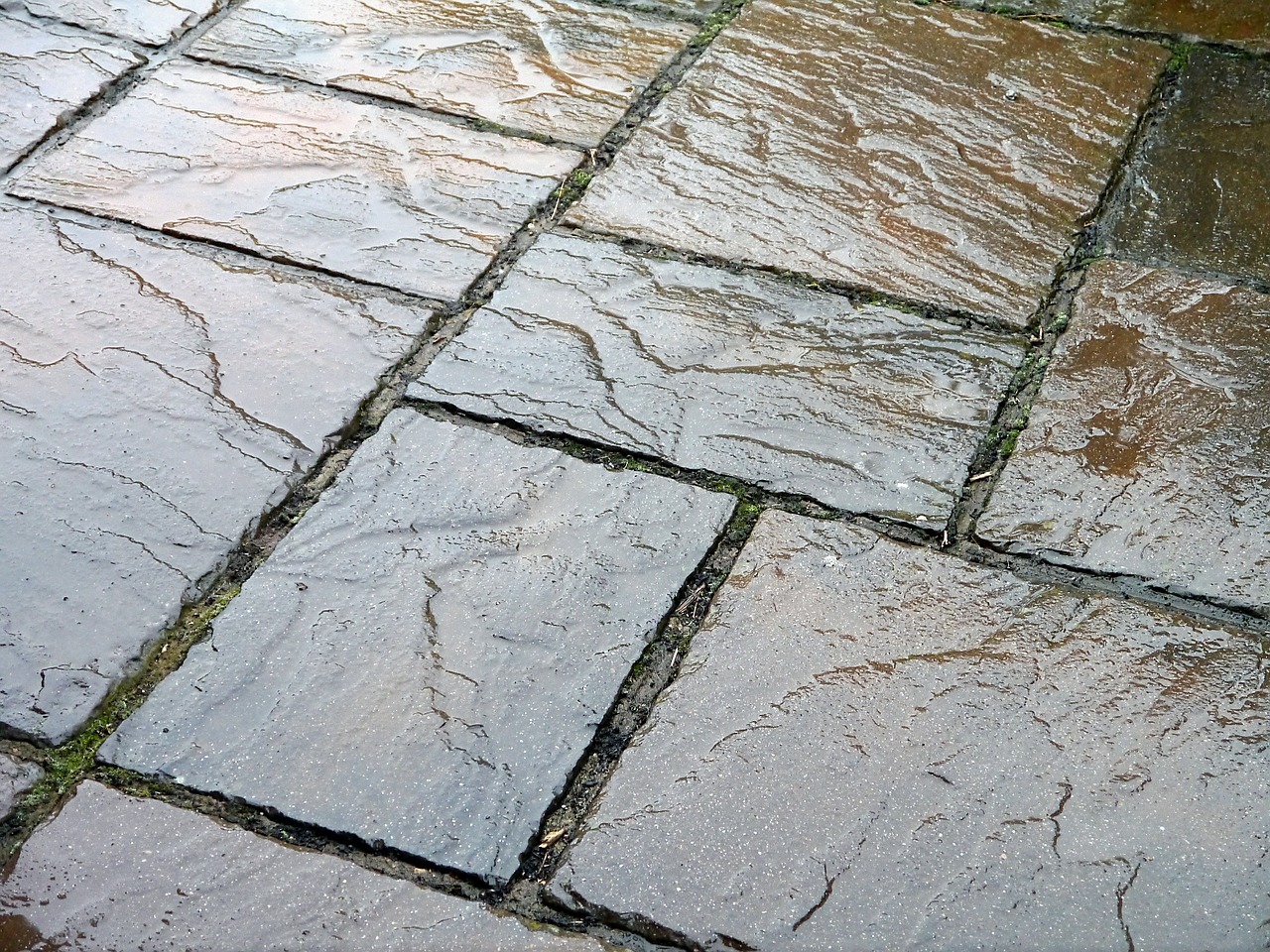 slate tiles wet free photo