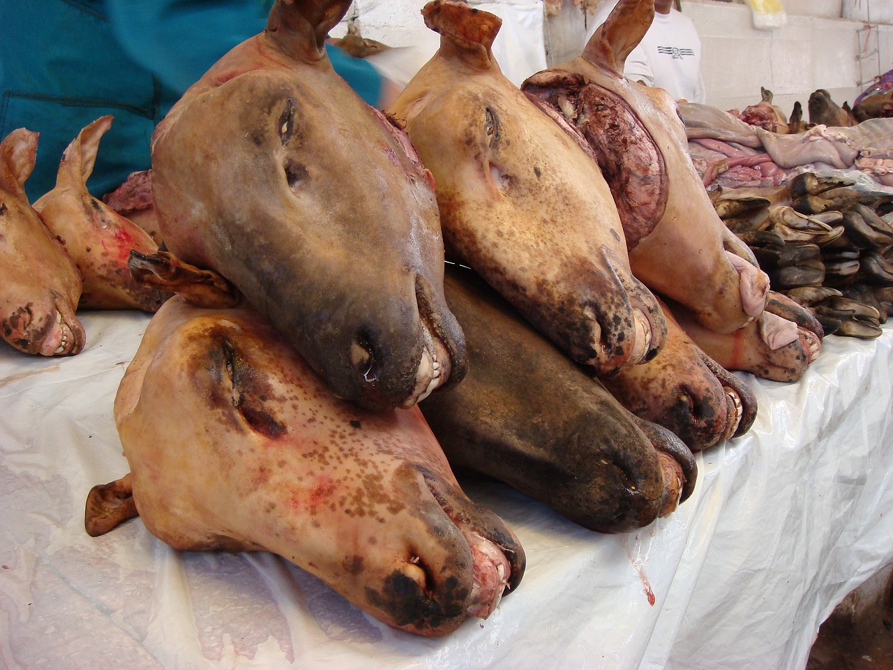 slaughter head market free photo