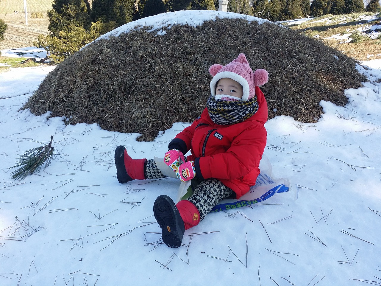 sled winter snow free photo