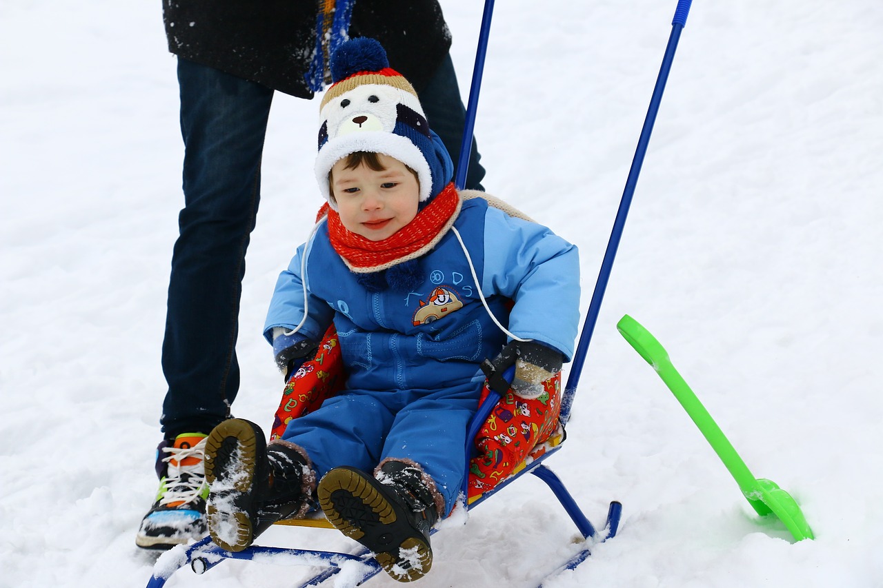 sled winter gorka free photo