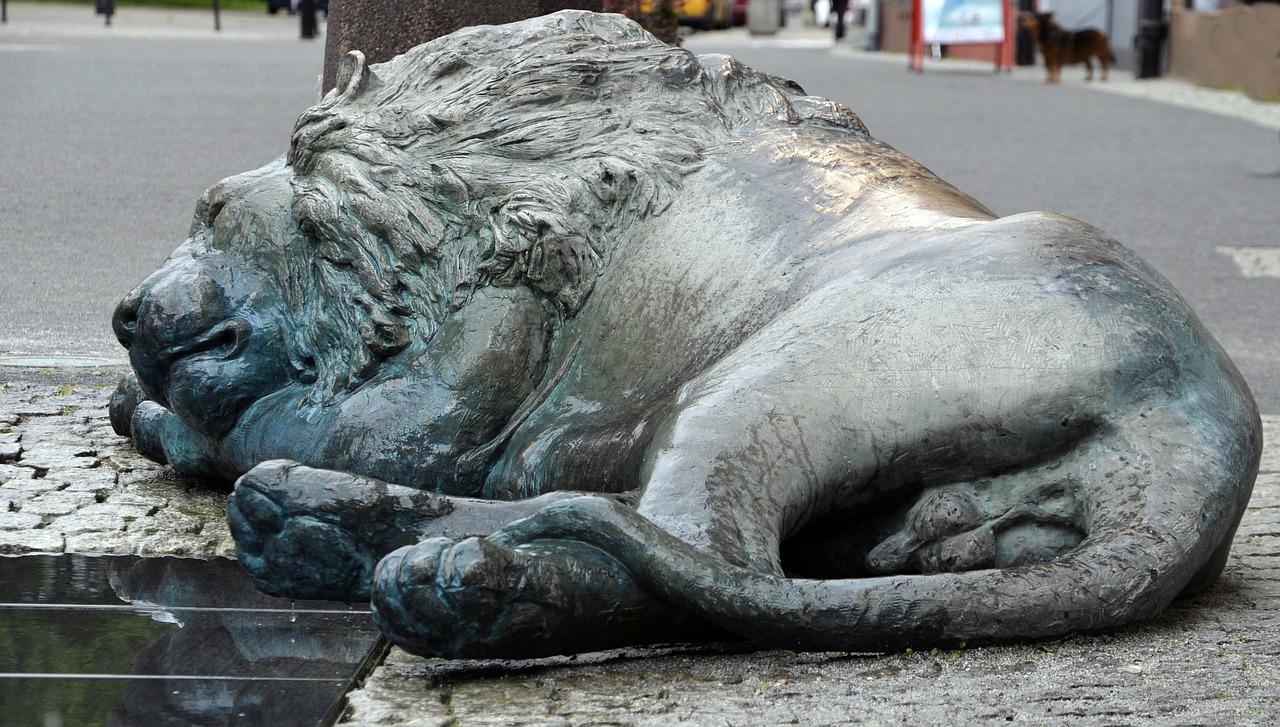 sleeping lion street free photo