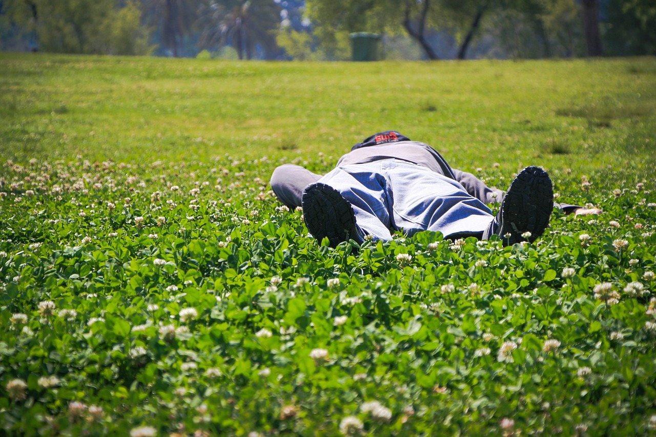 sleeping person male free photo