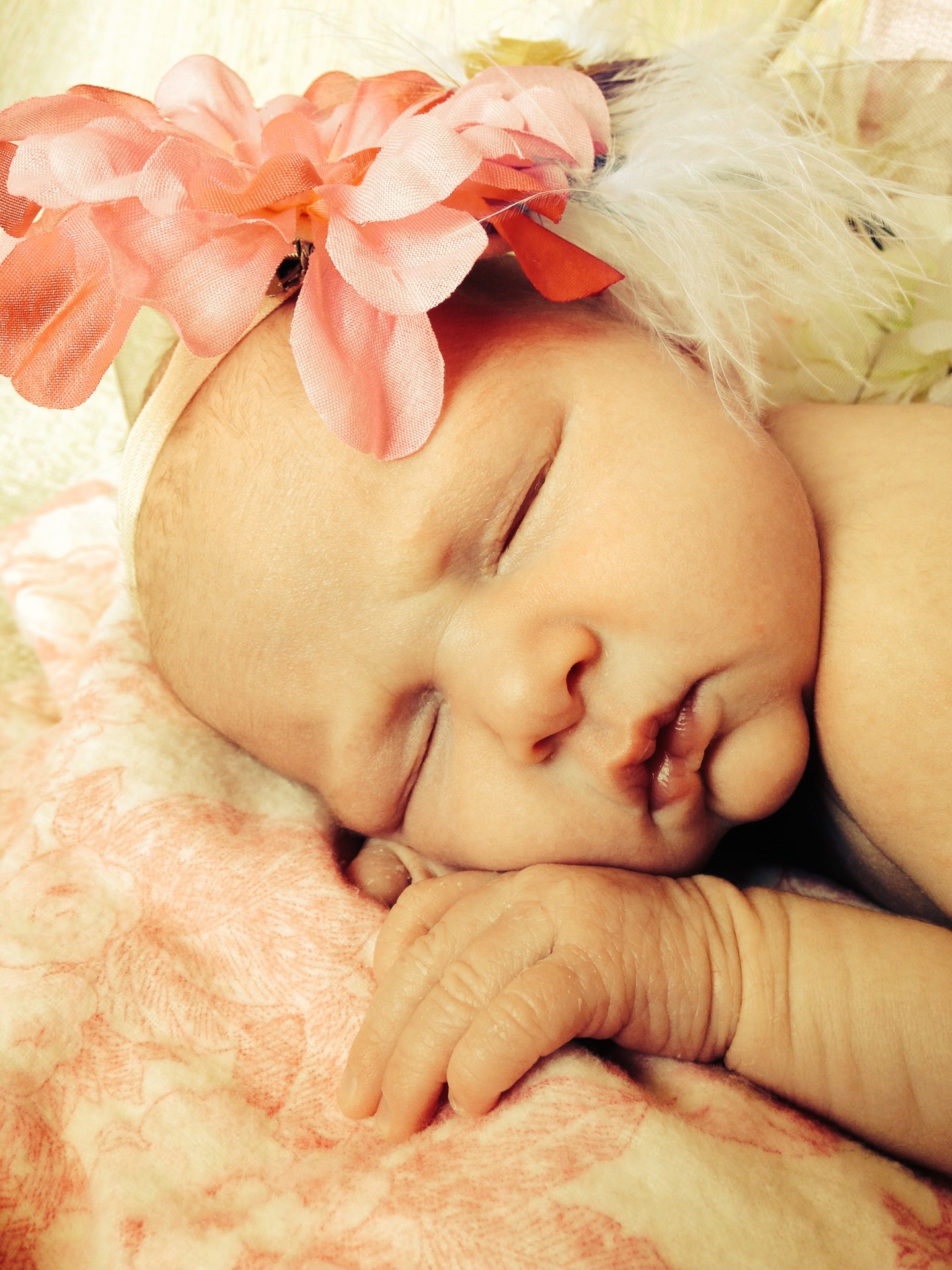 baby girl infant free photo