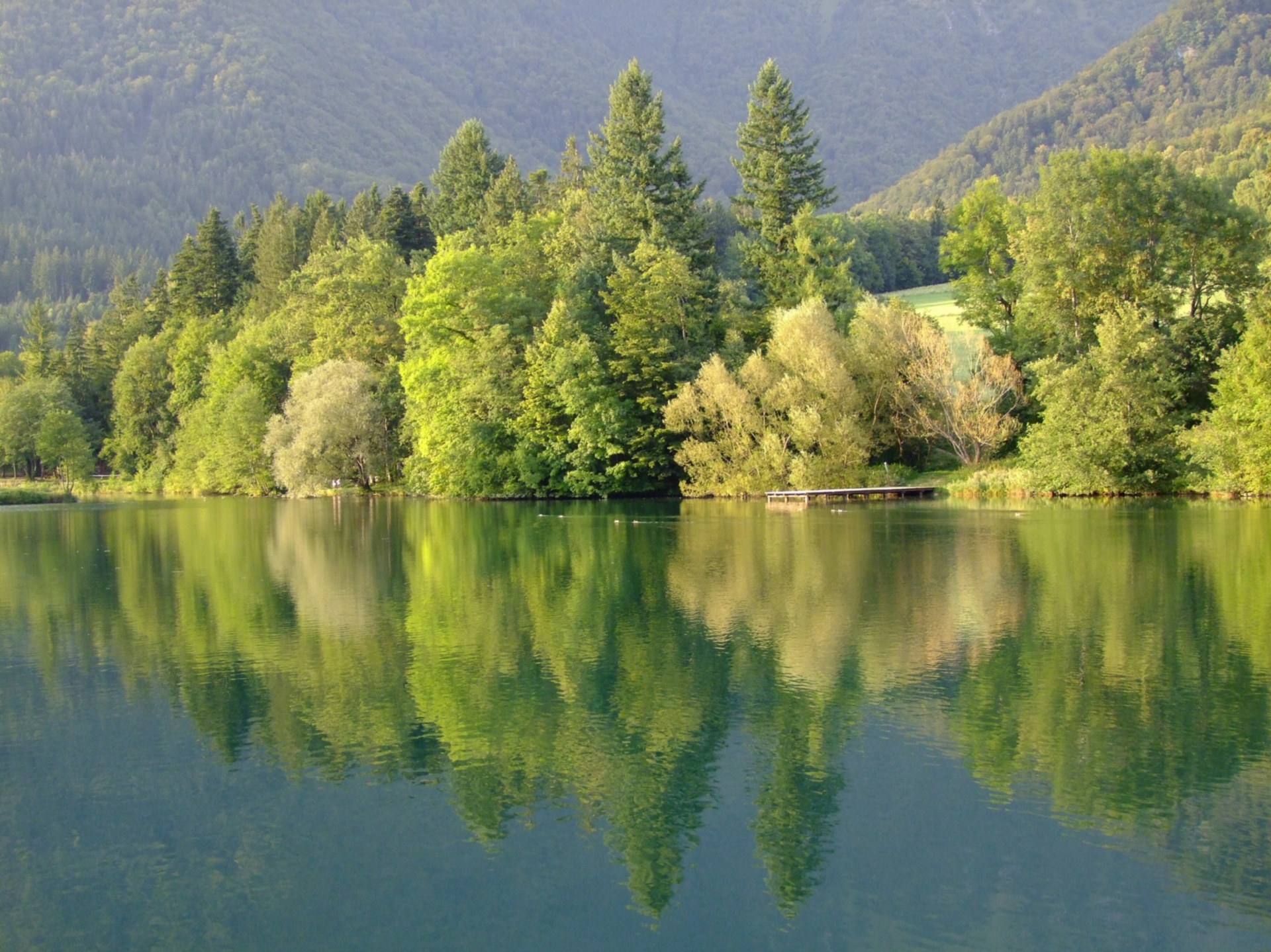 lake nature calm free photo