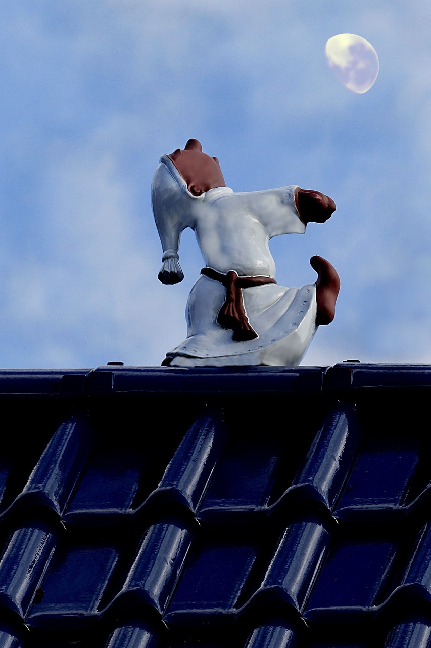 sleepwalkers figure roof free photo