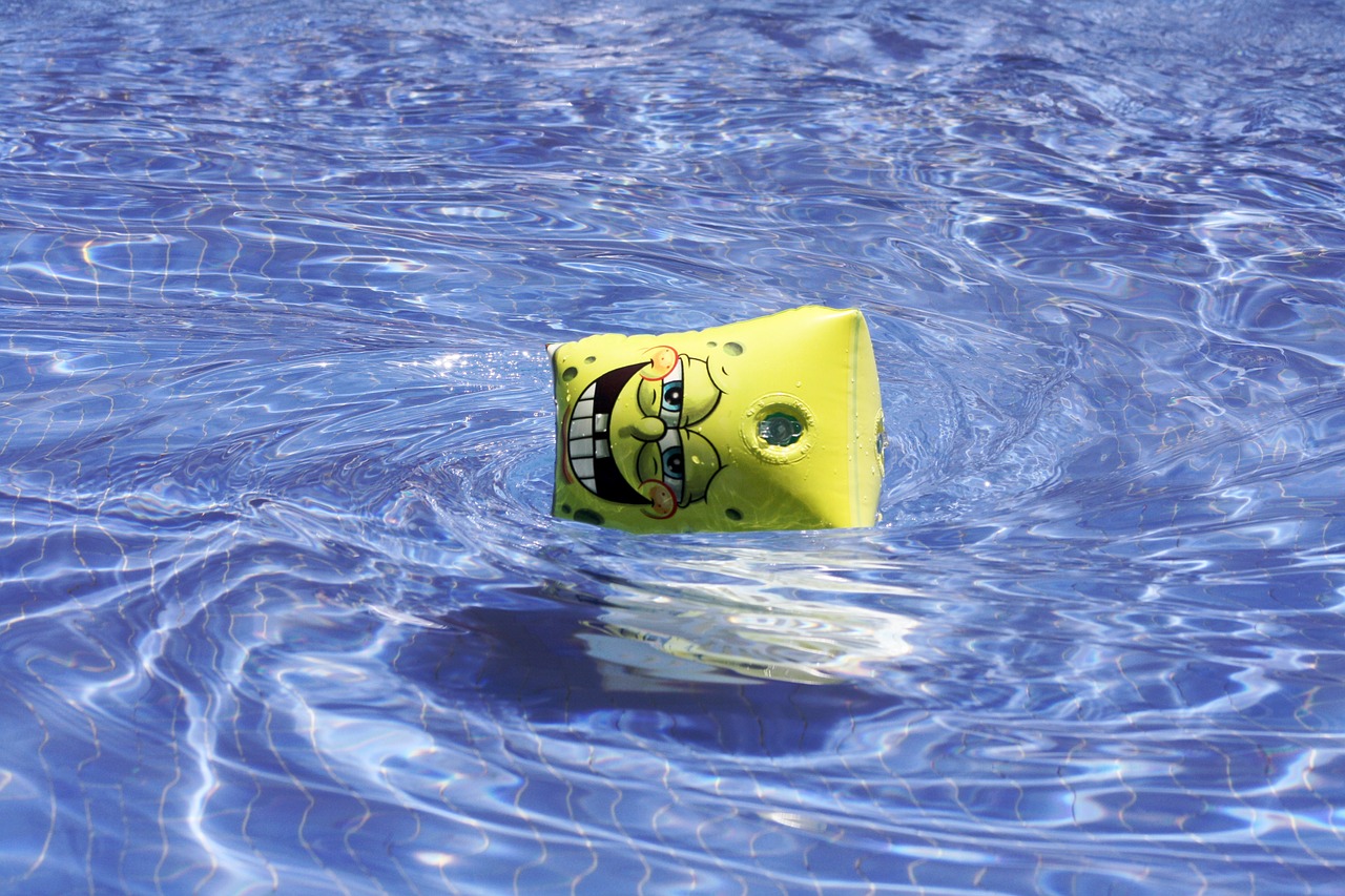 sleeve sponge bob pool free photo