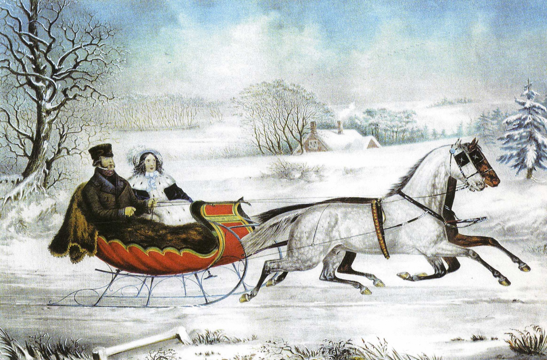 horse sleigh winter free photo