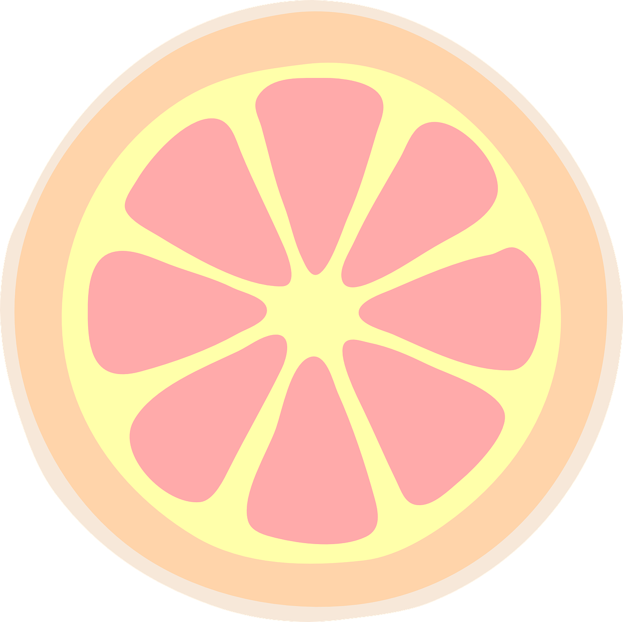 slice grapefruit citrus free photo