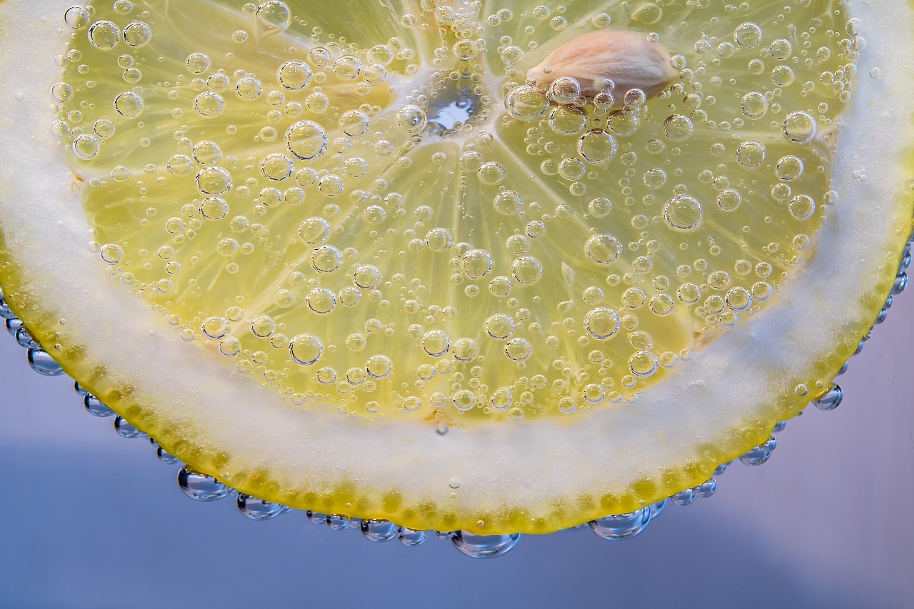 slice of lemon lemon small bubbles free photo