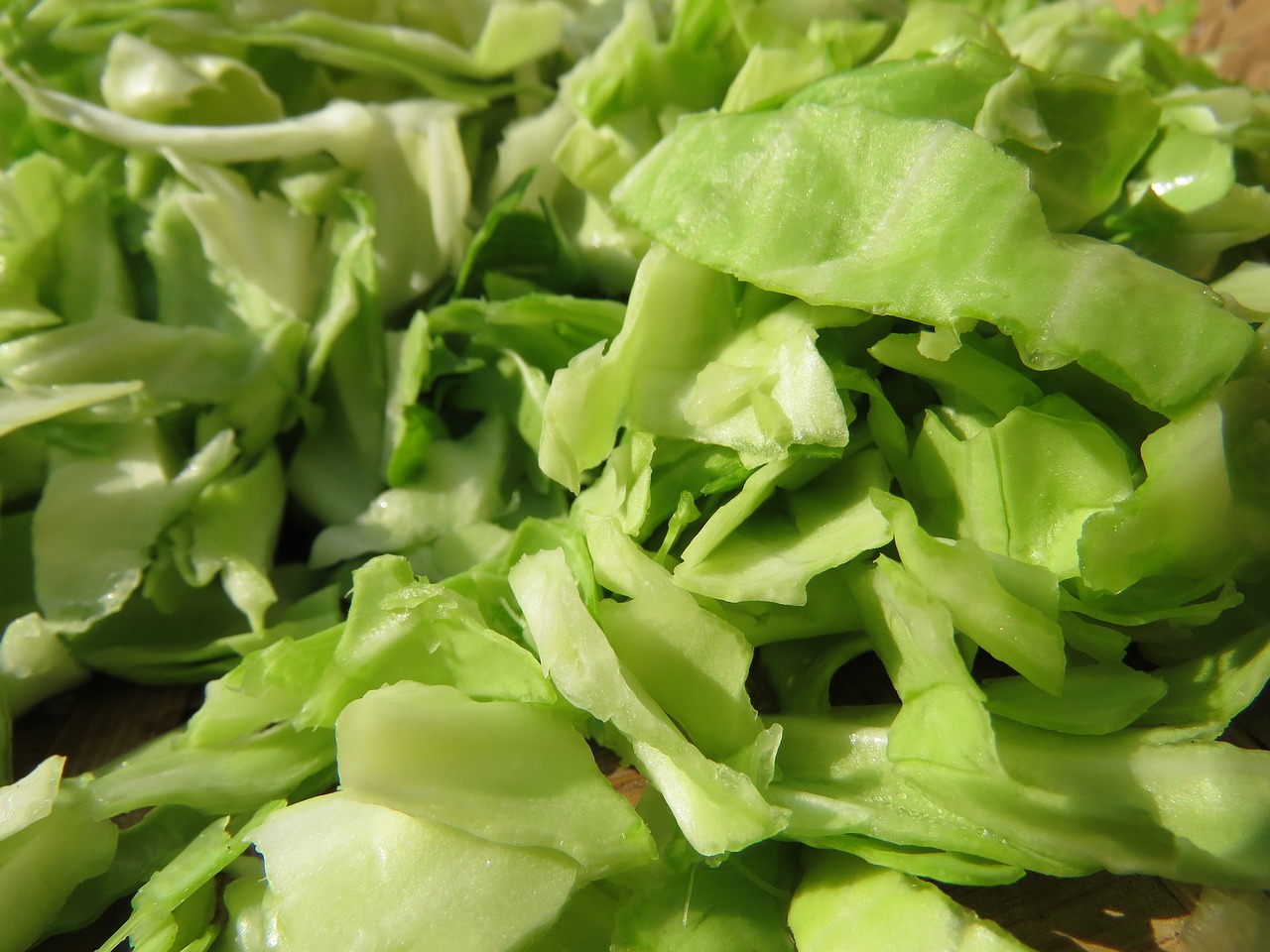 sliced cabbage  cabbage  vegetable free photo