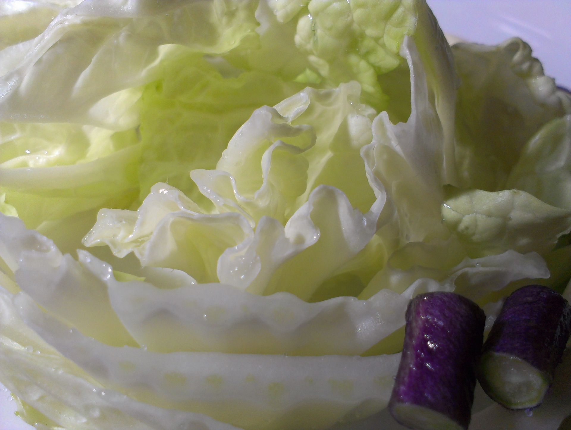 cabbage cabbages sliced free photo