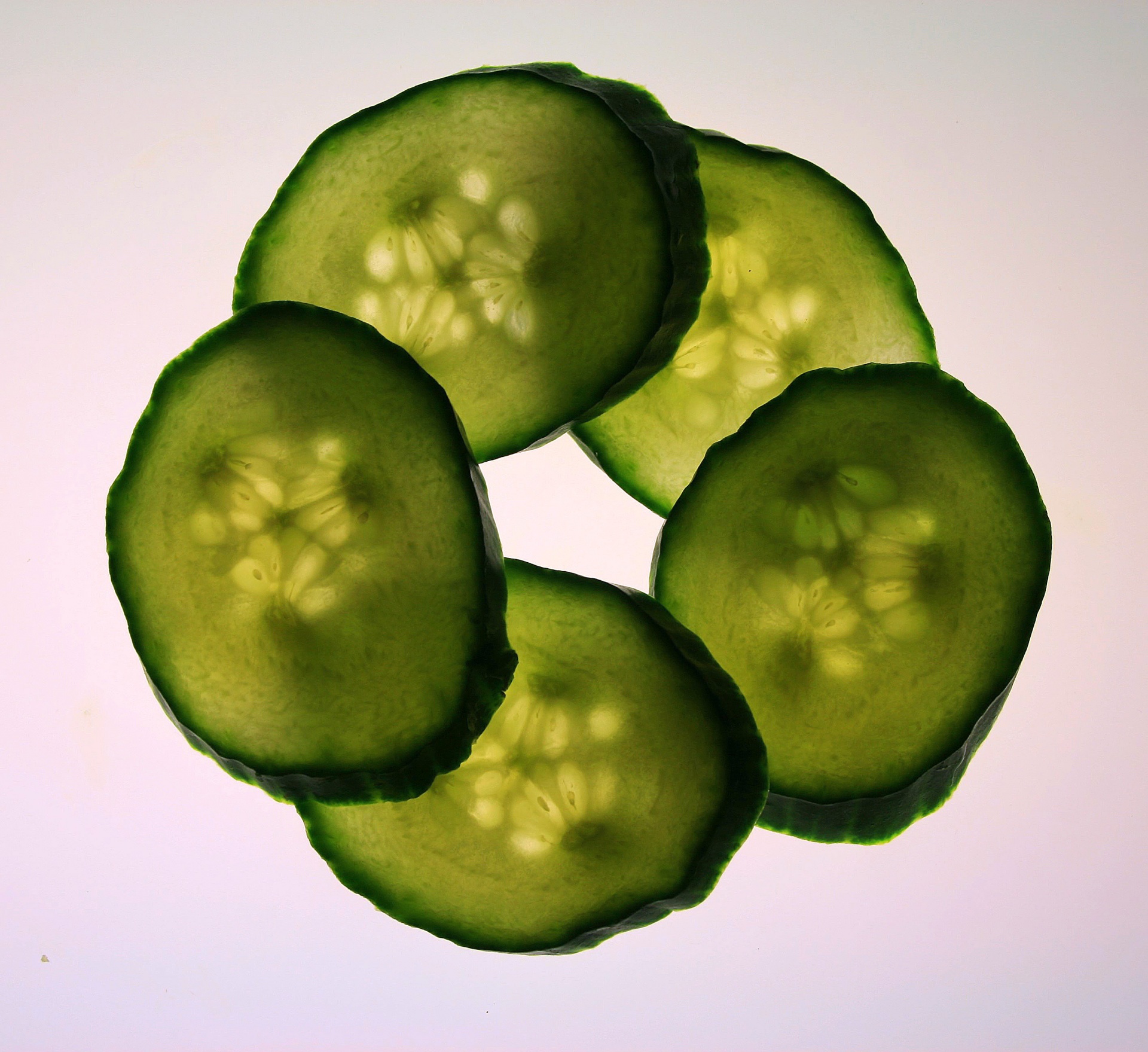 cucumber sliced round free photo