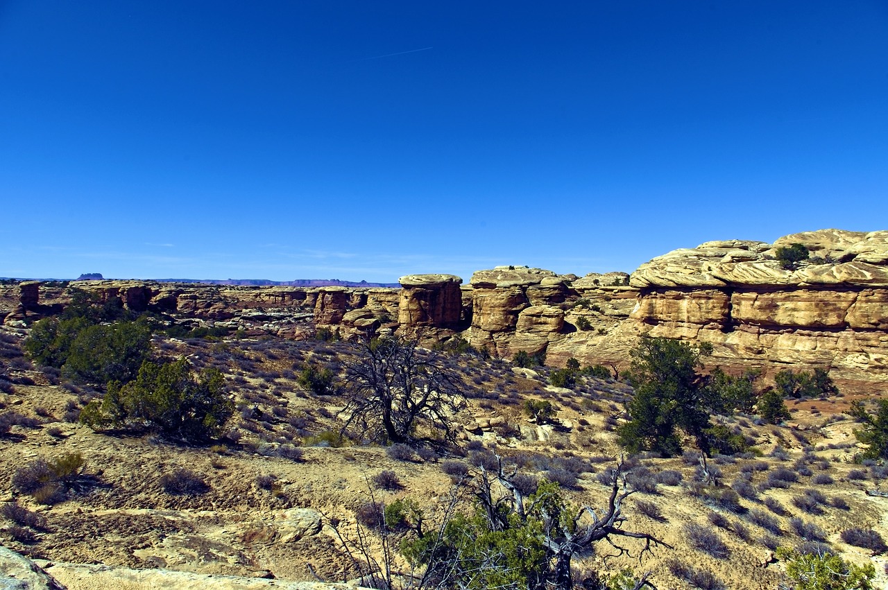 slickrock trail  needles district  canyonlands national park free photo