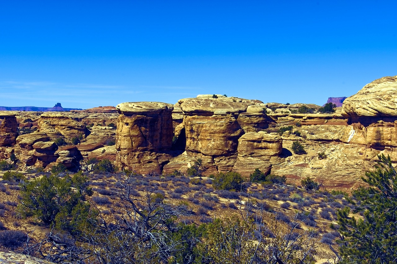 slickrock trail  needles district  canyonlands national park free photo