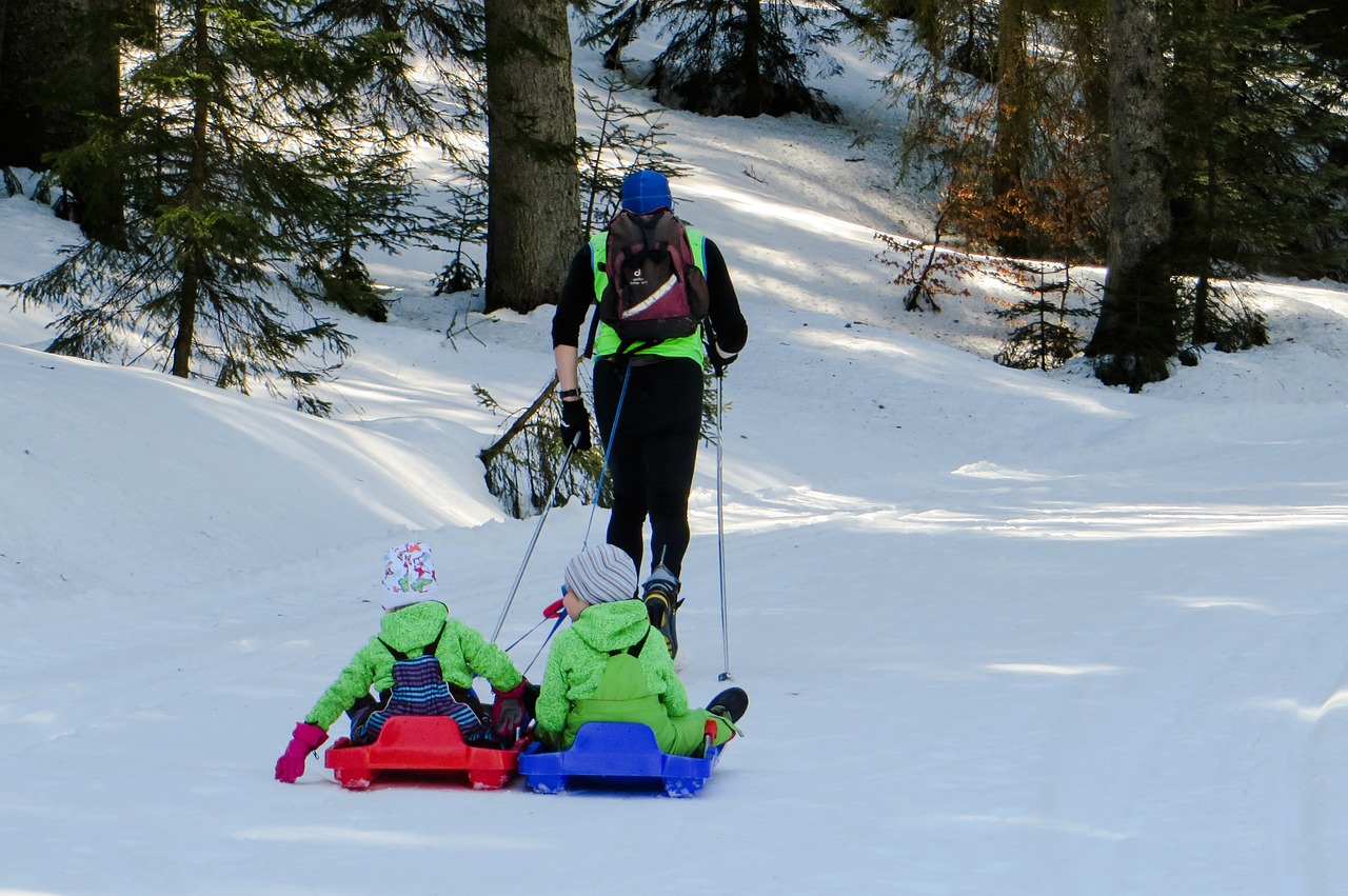 slide winter snow free photo