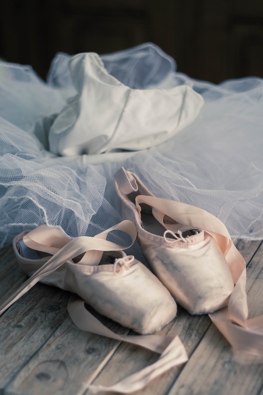 slipper dance ballet free photo