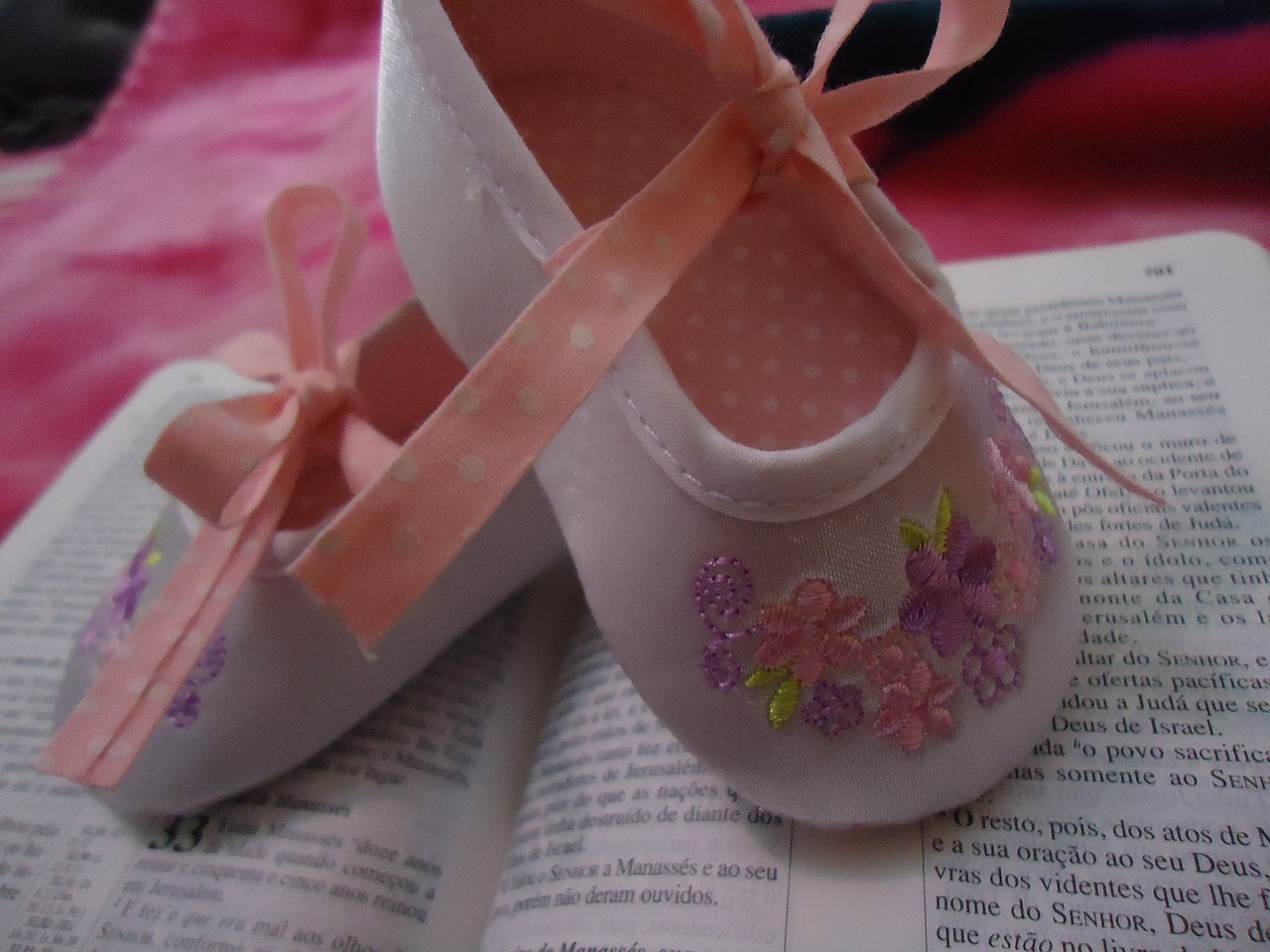 slipper shoes ballet free photo