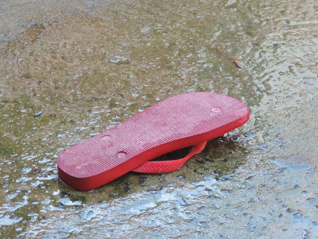 slipper wet floor red slipper free photo