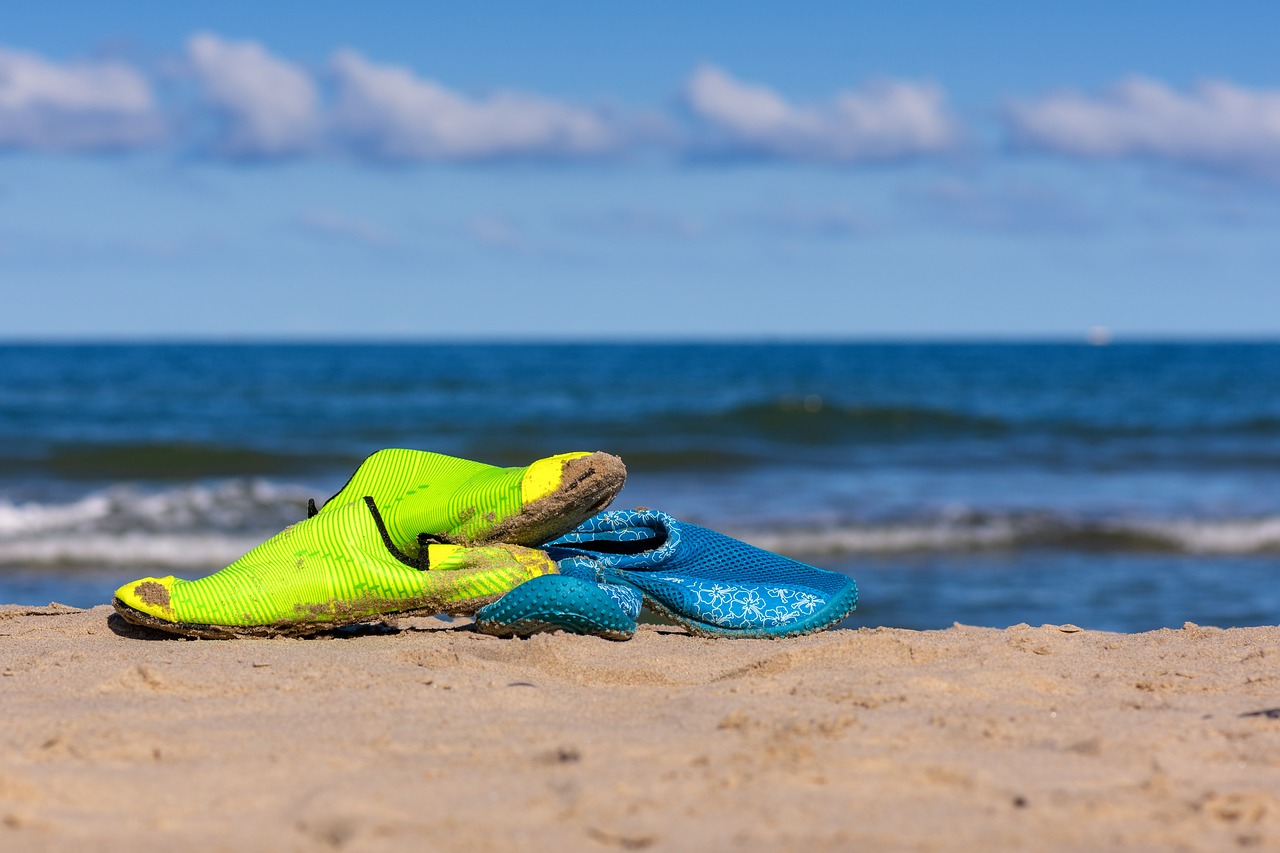 slippers  beach  flip flops free photo