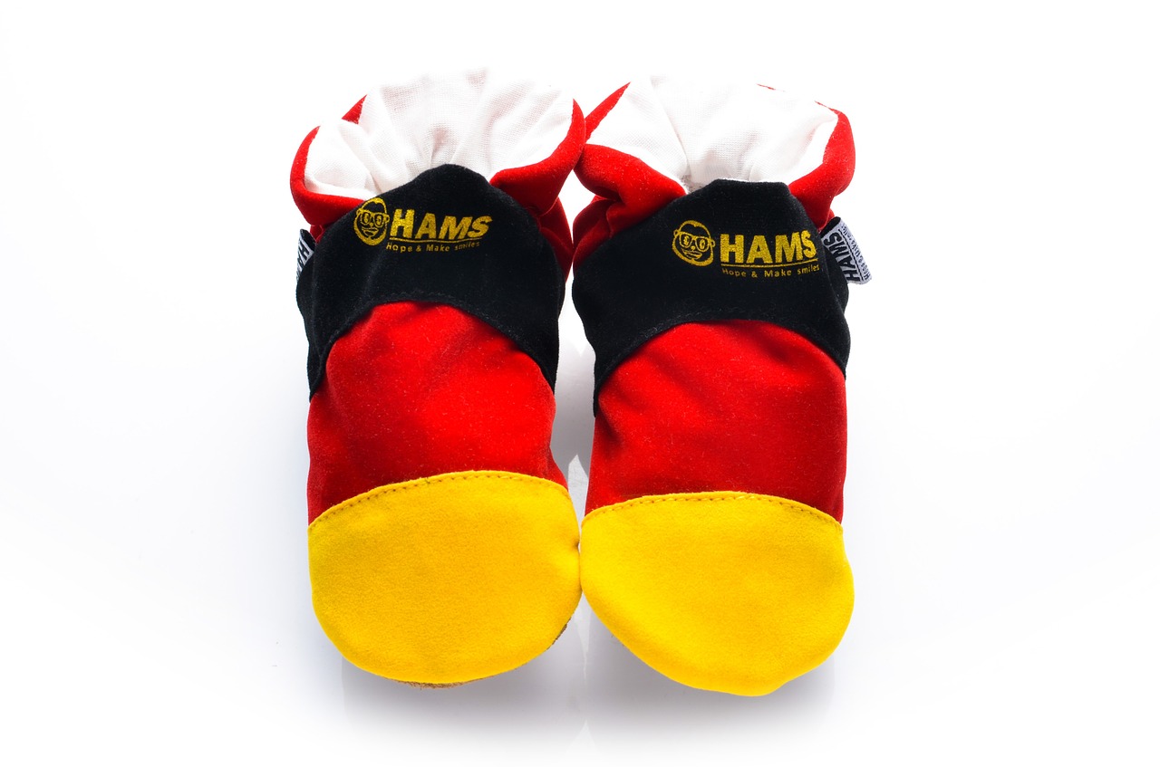 slippers ham shoes free photo